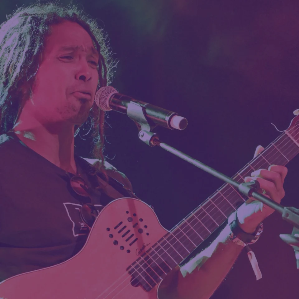 Un musicien en concert, photographie de présentation de Visa For Music